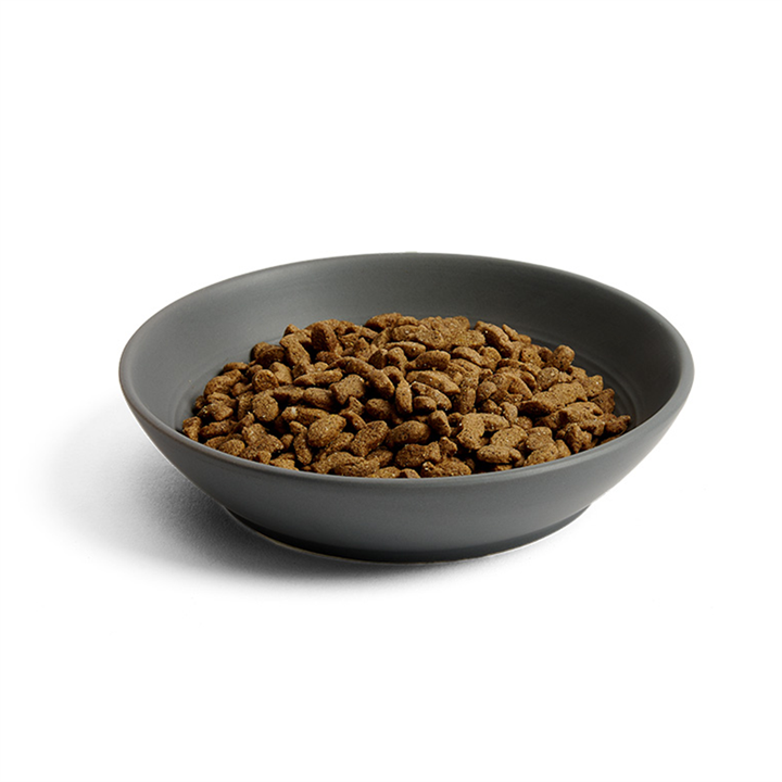 MORE Salmon Dry Cat Food MORE Pet Foods