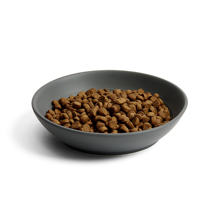 High fat 2025 dry cat food