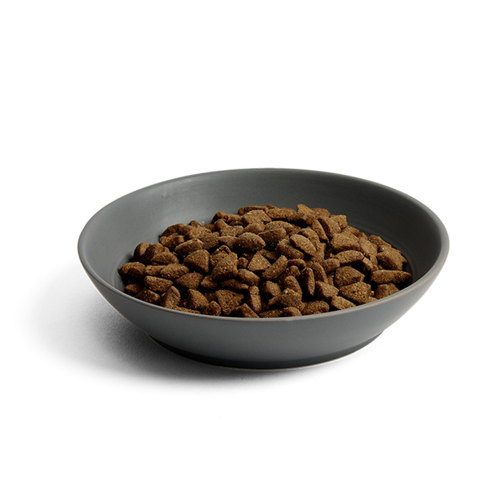 MORE Adult Chicken Dry Cat Food MORE Pet Foods