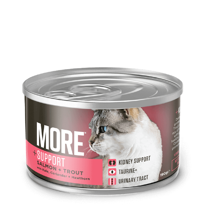 More Cat Kidney Support Salmon&Trout Wet Cat Food