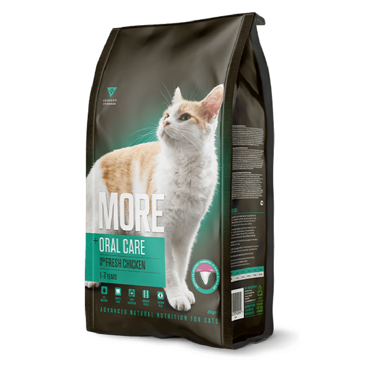 Cat oral shop care food